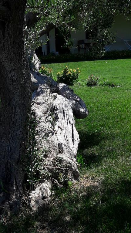Tenuta Cavalieri เลเวราโน ภายนอก รูปภาพ